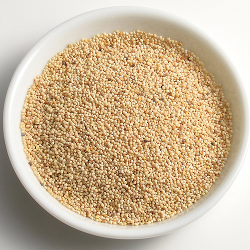 けしの実 白 1kg 栗 芋 かぼちゃ シード シード 種 実 けしの実 通販 Tomiz 富澤商店