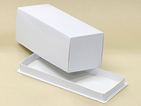 ߷Ź饤󥷥åפ㤨8륱Ȣ(̵ 1 / 1פβǤʤ145ߤˤʤޤ