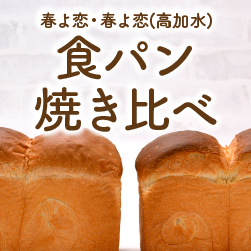 作業性は?味はどう違う?!春よ恋・春よ恋(高加水用)食パン焼き比べ