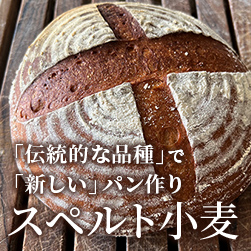 スペルト小麦とおすすめレシピ9選| 北海道産の伝統的な品種で「新しいパン作り」