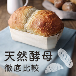 作りたいパンに合う天然酵母が見つかる!天然酵母 徹底比較