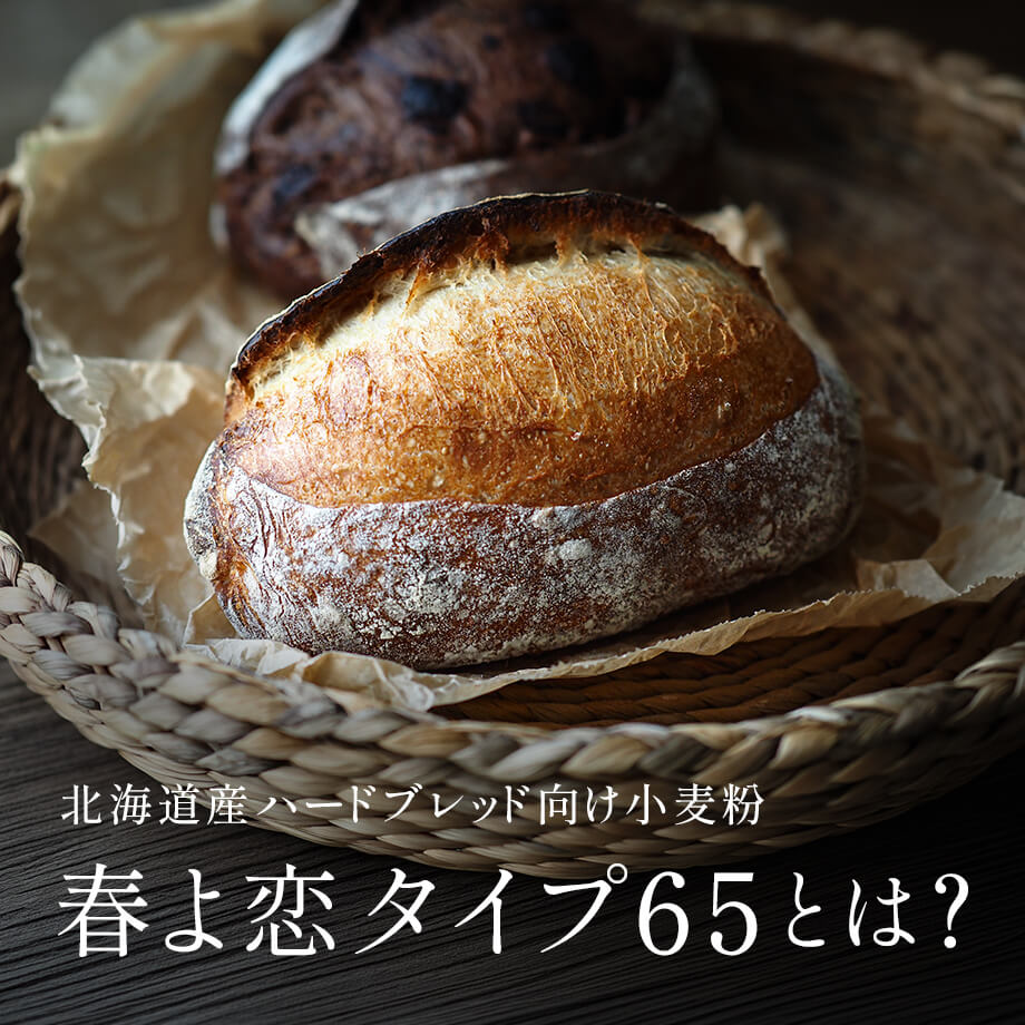 春よ恋タイプ65とは?特徴とおすすめレシピ|北海道産小麦100%のハードブレッド向け小麦粉