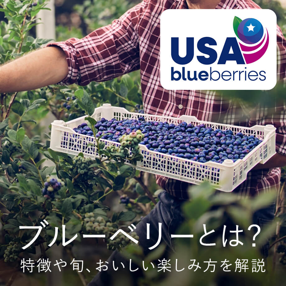 ブルーベリーとは?特徴や歴史、旬の時期や楽しみ方を解説