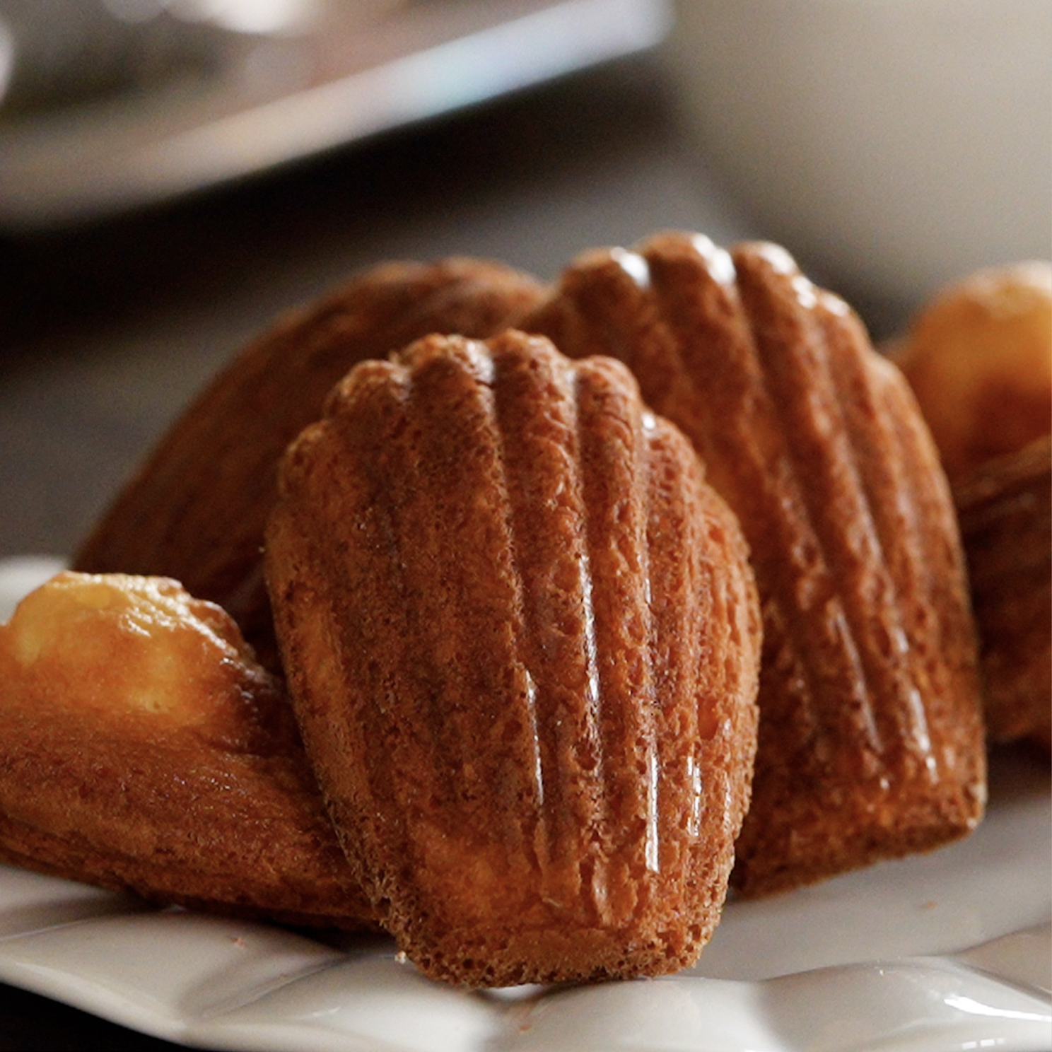 基本の焼き菓子(マドレーヌ)