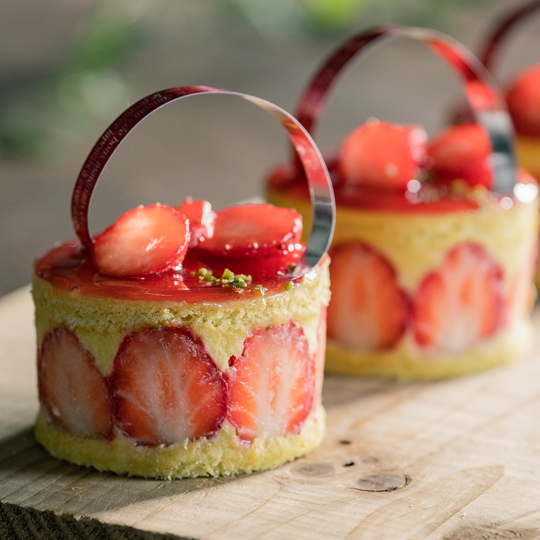 フレジエピスターシュ