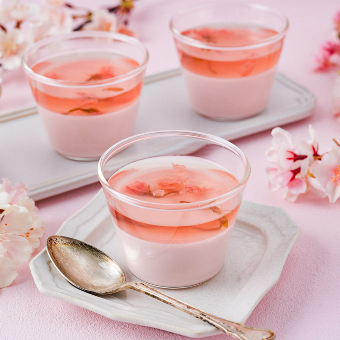 桜のパンナコッタ
