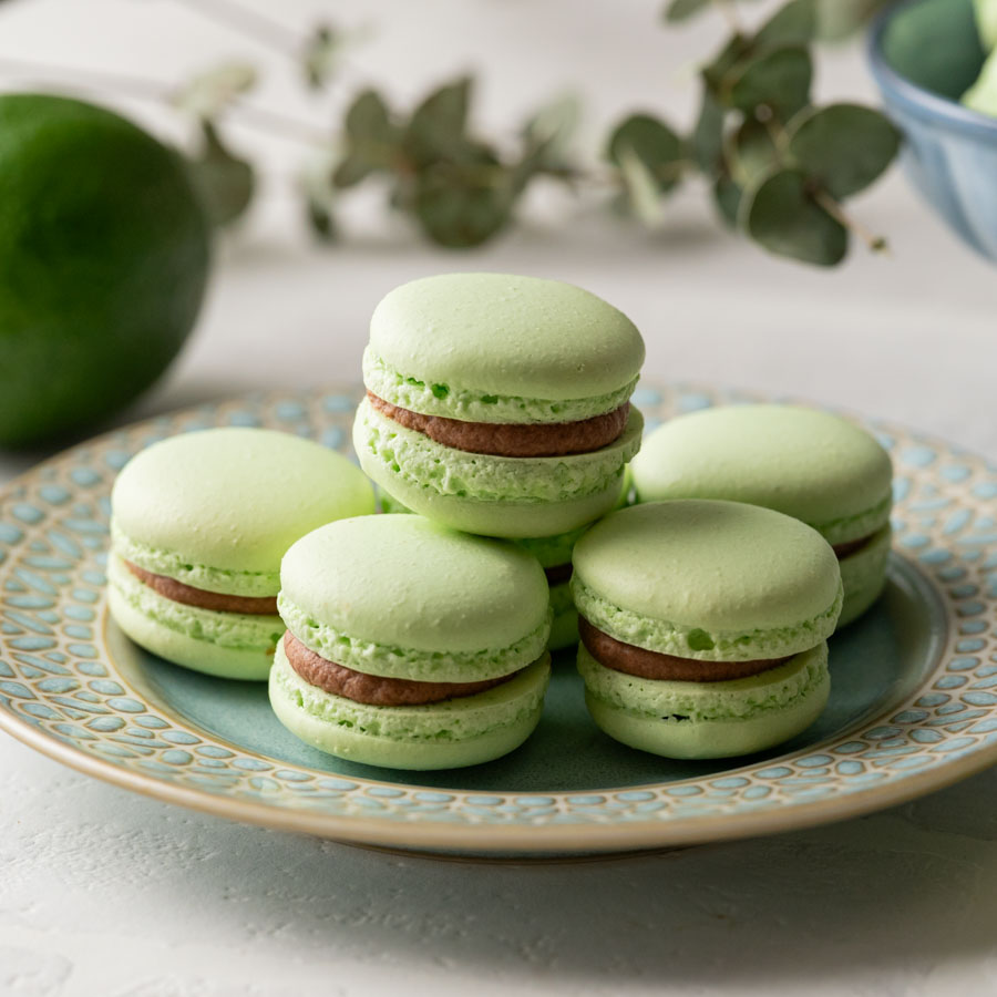 マカロン　～ライムガナッシュサンド～