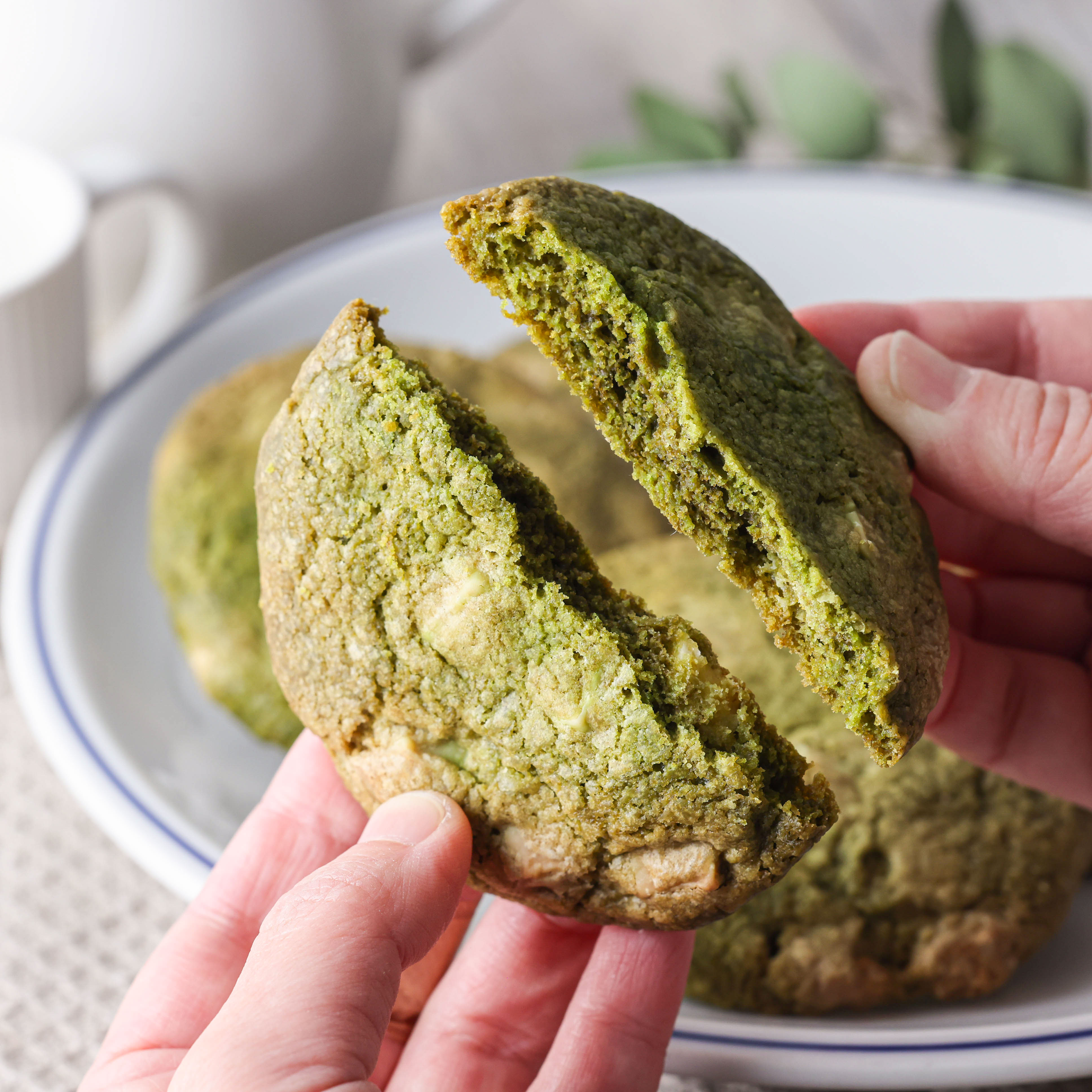 抹茶とホワイトチョコのザクザククッキー