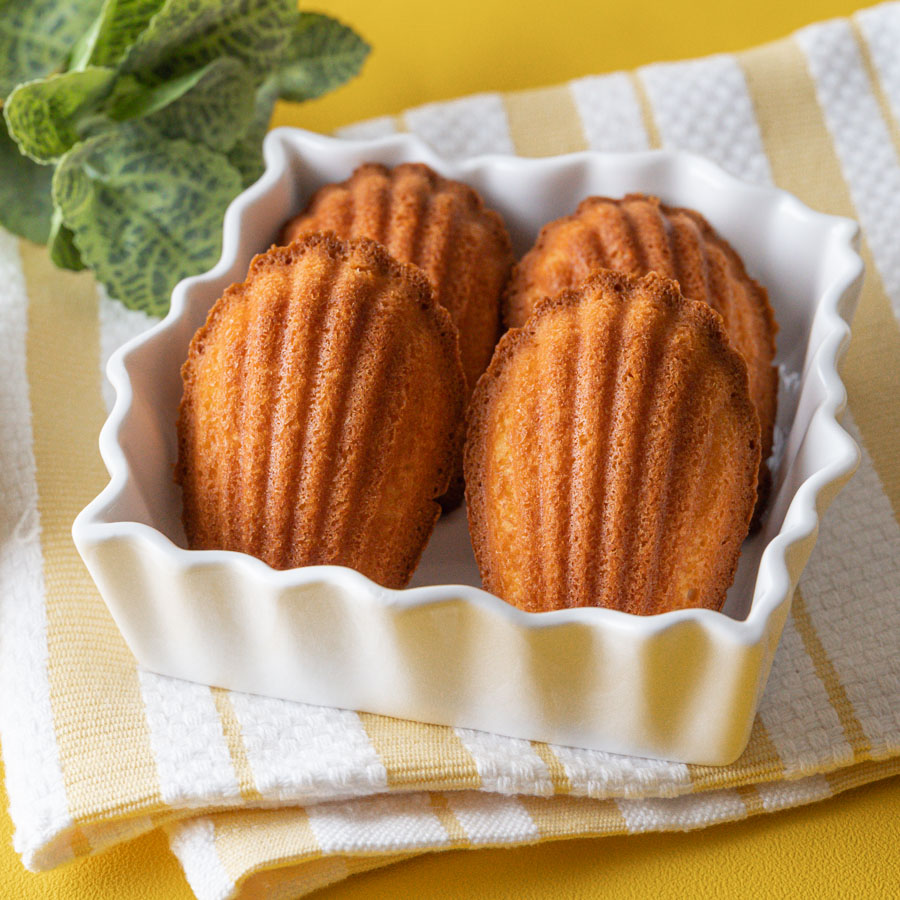 CHIYODA型で焼く　基本のマドレーヌ