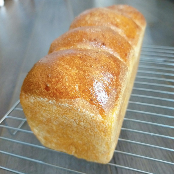 10　焼成