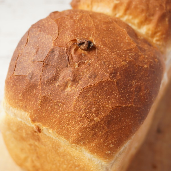 <天使のささやき(拍手)>