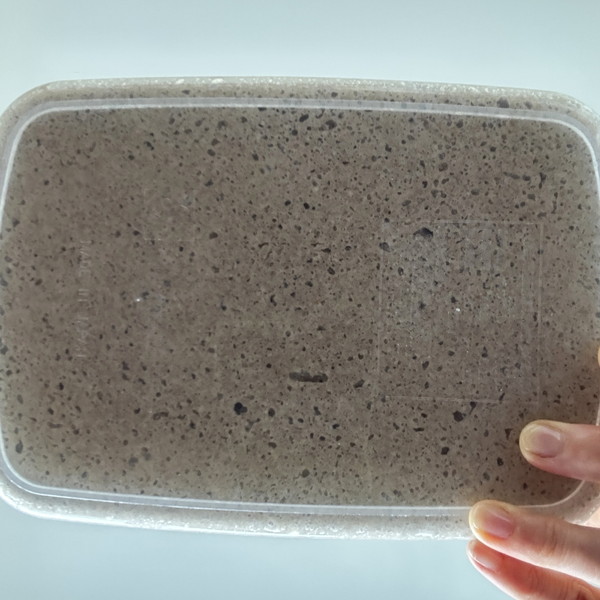 7　一次発酵終了