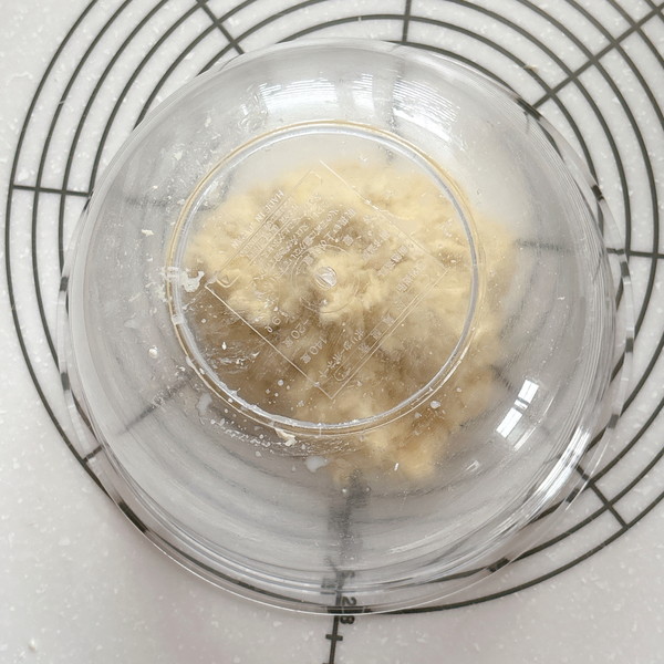 3　オートリーズ