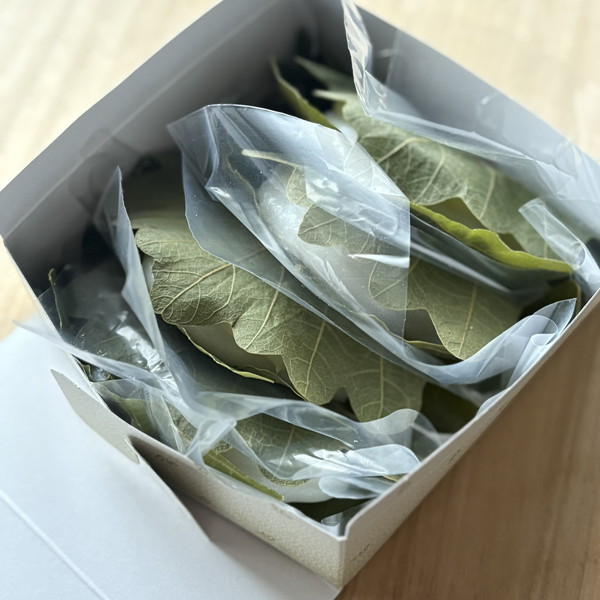 <ラッピング>①