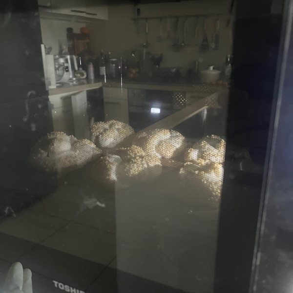 19　焼成