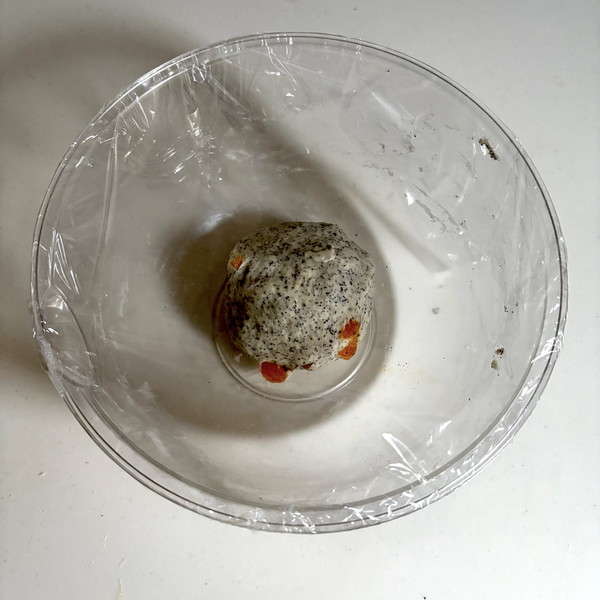 9　一次発酵