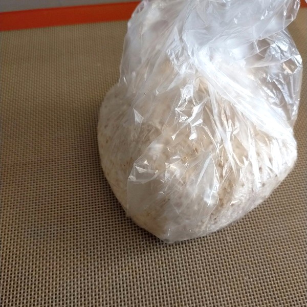 5　発酵