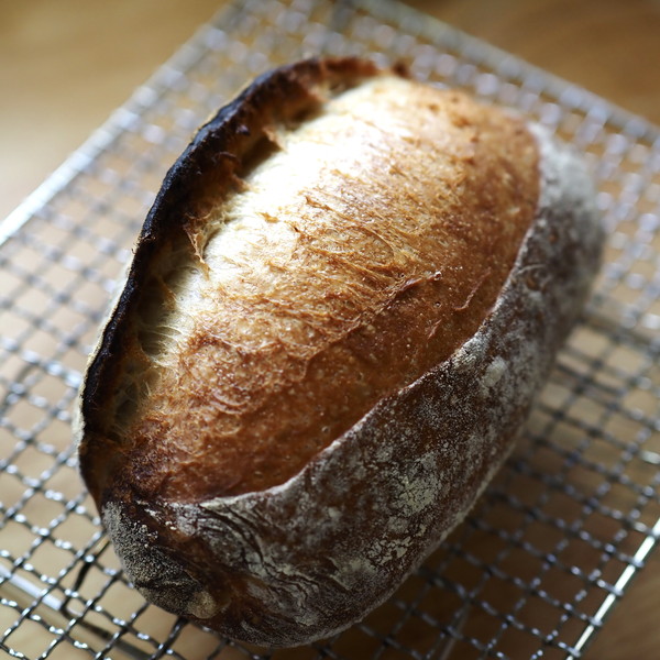 18　焼成